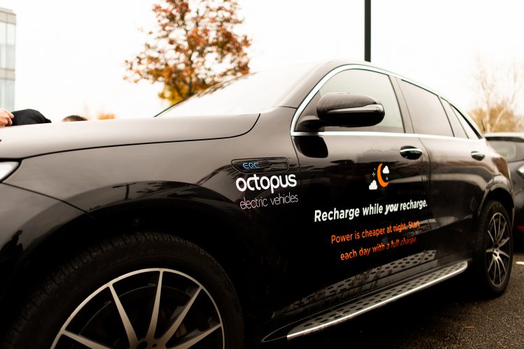 Octopus Electric Vehicles introduces a comprehensive package for electric vehicles